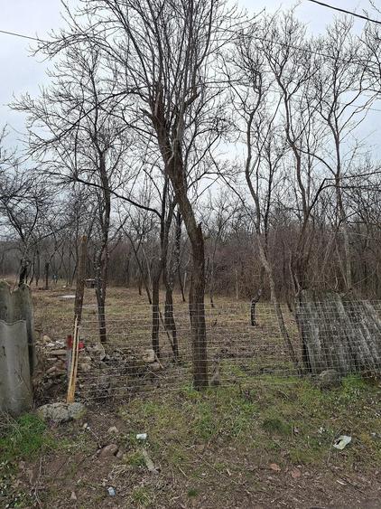 Teren de 1400 mp, în Central