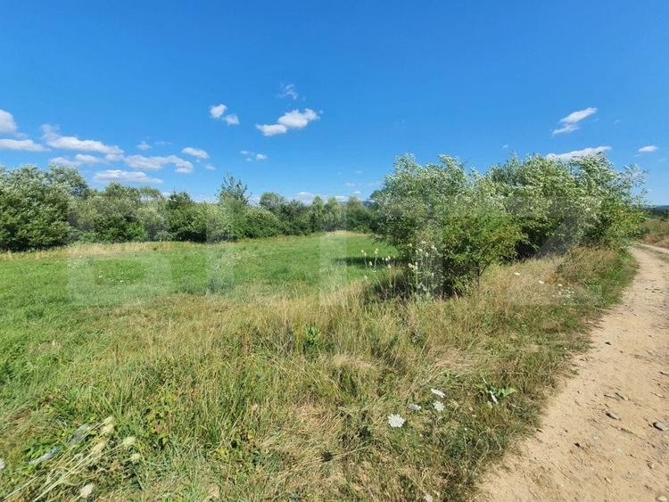 Teren Construcții intravilan de 3100 mp, în Sud