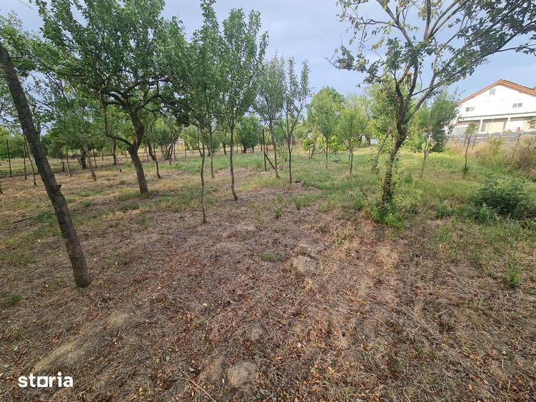 Casă cu 5 camere cu Teren 1496 Mp în Bocsig