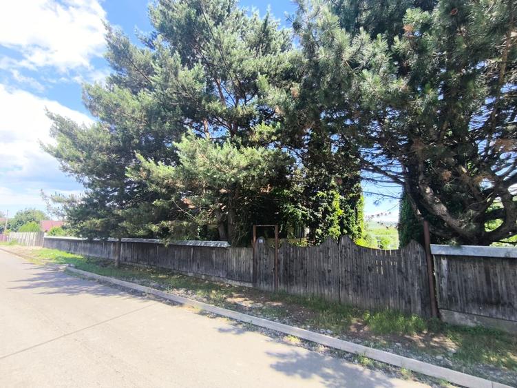 Casă individuală cu 2 camere cu Teren 7592 Mp în Dochia