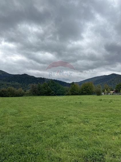 Teren Construcții intravilan de 1023 mp, în Vădurele (Alexandru cel Bun)
