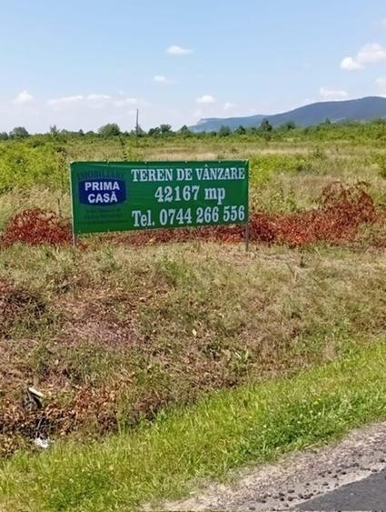 Teren intravilan de 42167 mp, în Tăuții-Măgherăuș