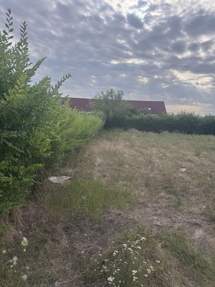 Teren de 750 mp, în Biharia