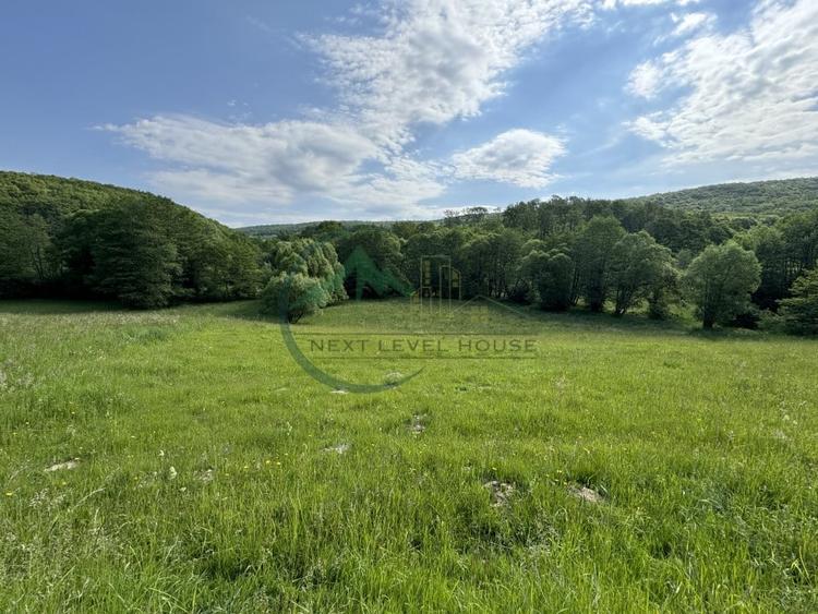 Teren Construcții extravilan de 2900.0100097656 mp, în Lisnău-Vale