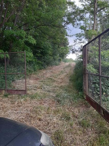 Teren de 34422 mp, în Bădeni