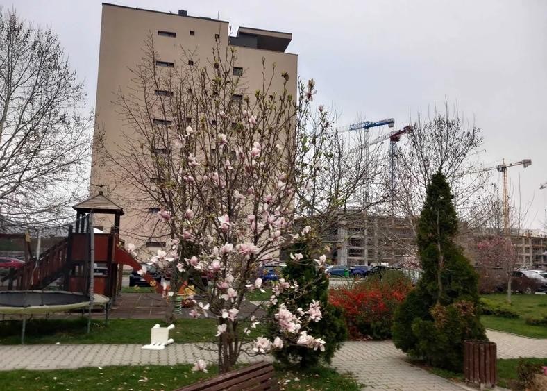 Pipera- 2 Camere - Metrou - Parcare - Boxa - 8