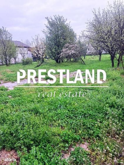 Spațiu comercial, în Turnu Roșu