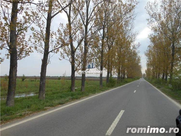 Teren de 5000 mp, în Ciolpani