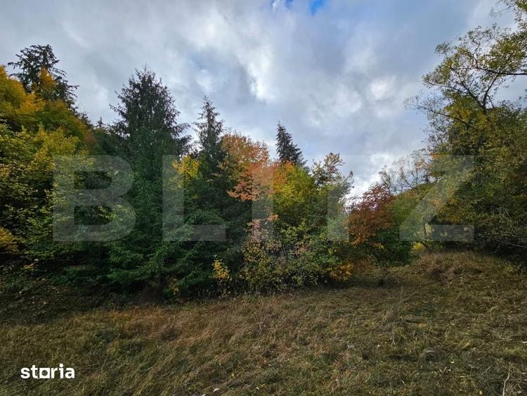 Teren de 2710 mp, în Vidra