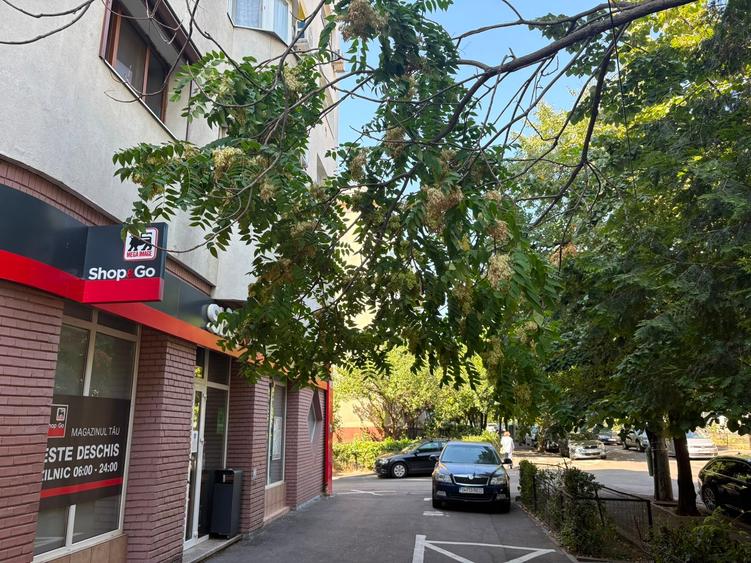Spațiu comercial, de 520 mp, în Vitanul Nou