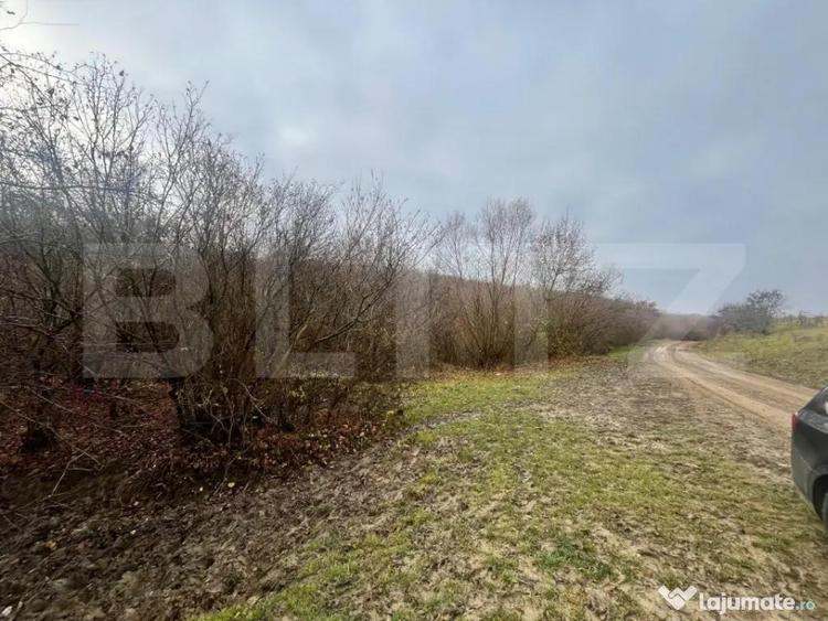 Teren extravilan, 4 hectare, langa livada de mere Ghinda - 5