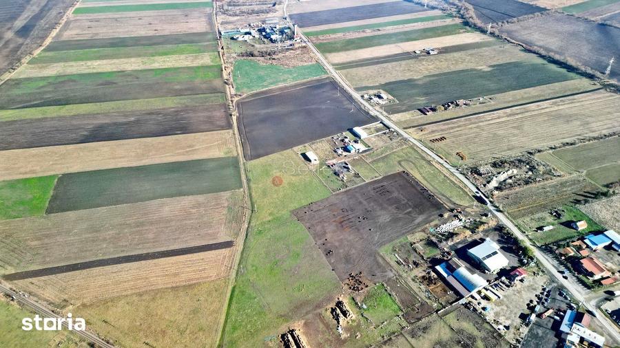 Teren de 31400 mp, în Codlea