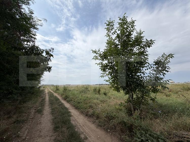 Parcela 702 mp, dubla deschidere, Carcea - Metro - 4