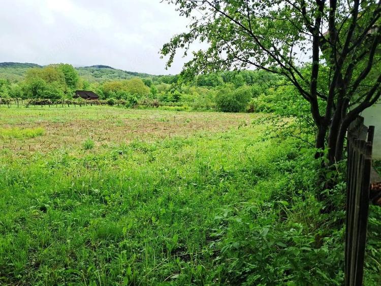 Casă cu 3 camere cu Teren 4350 Mp în Polovragi