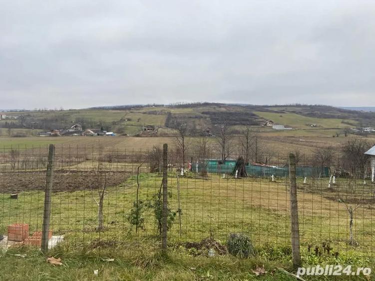 Teren de 4750 mp, în Chicerea