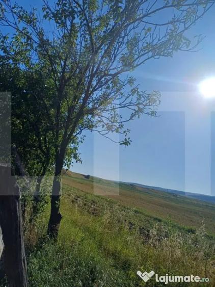 Casă cu 3 camere cu Teren 7600 Mp în Central