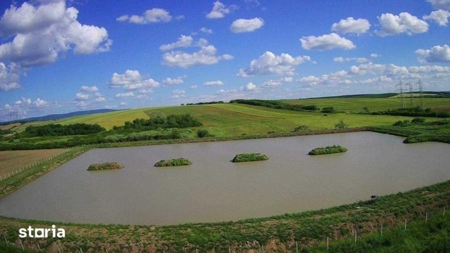 Teren de 28000 mp, în Ardud