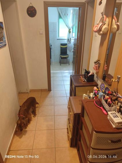 Apartament 3 camere, zona Nicolae Grigorescu - 5