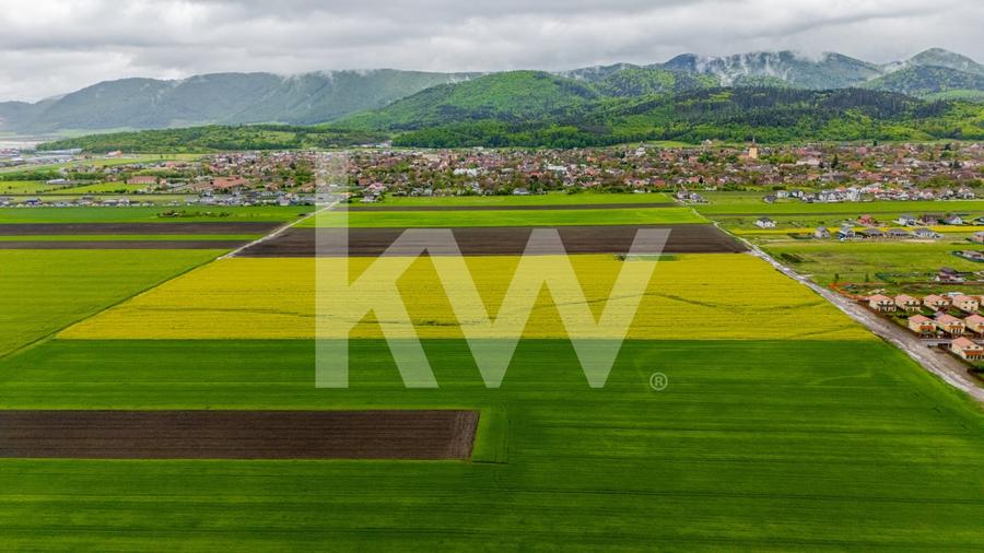 Teren agricol extravilan de 13742 mp, în Cristian