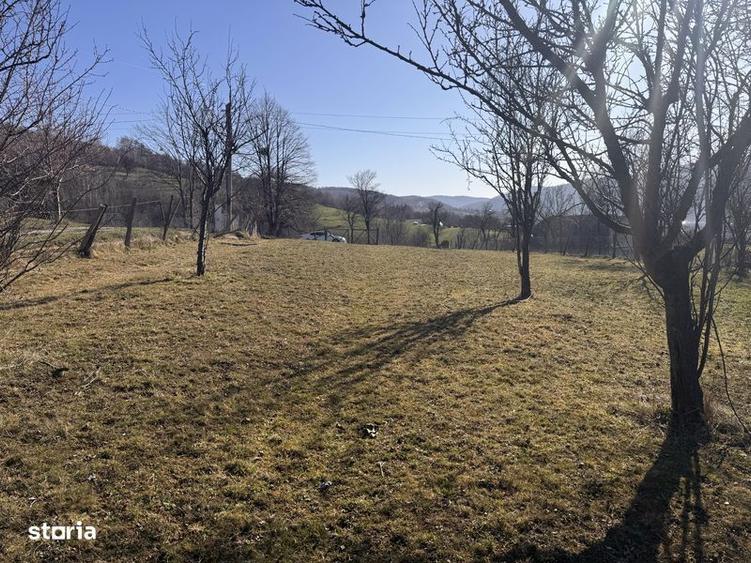Teren de 3020 mp, în Negreni