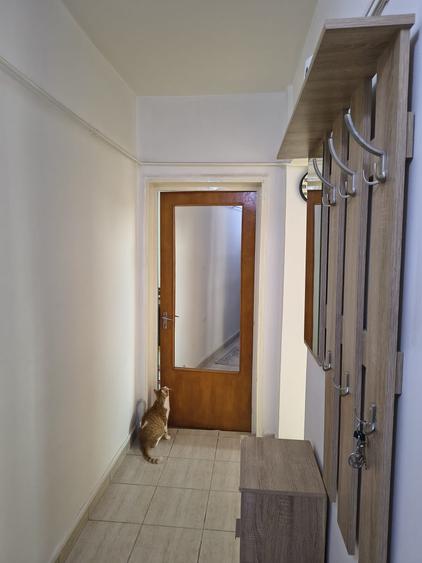 Apartament cu 2 camere decomandat în Cina