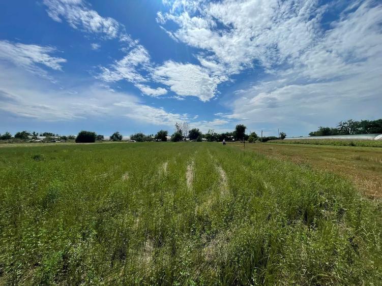 Teren de 800 mp, în Valea Dragului