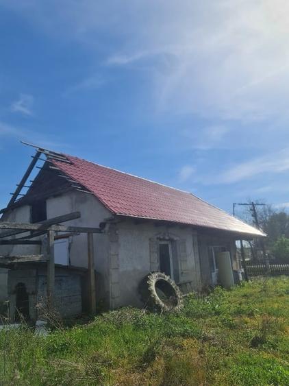 Casă individuală cu 3 camere cu Teren 8500 Mp în Pomi