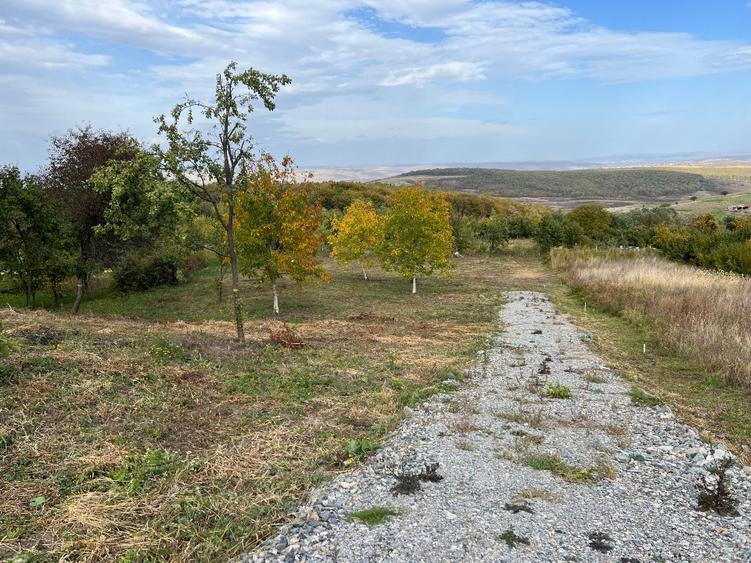 Teren Construcții intravilan de 3744 mp, în Gheorghieni