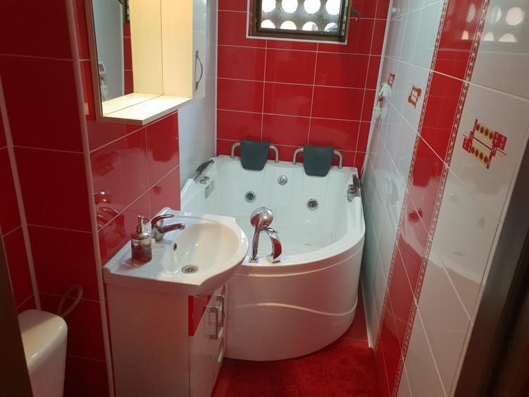Apartament cu 2 camere semidecomandat în Sânleani