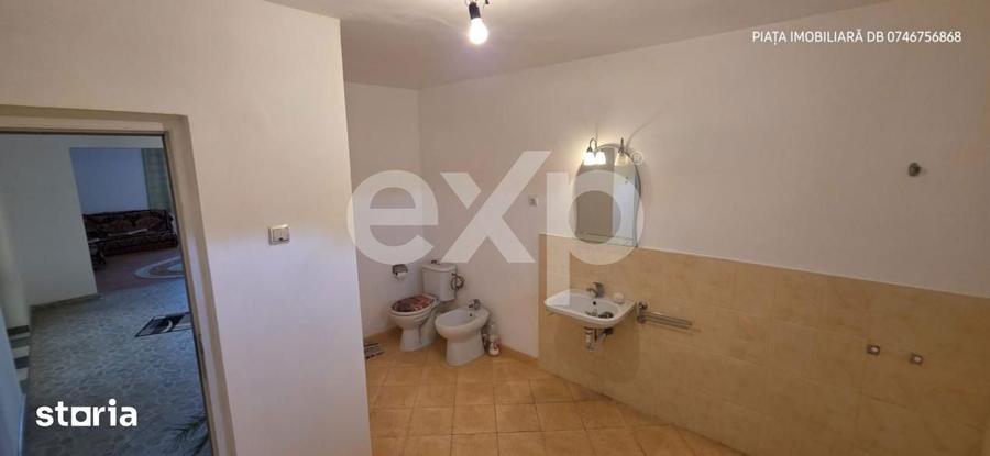 Vila Individuala Imensa + Casa de Oaspeti si Garaj Dublu | Teren 1.00 - 6