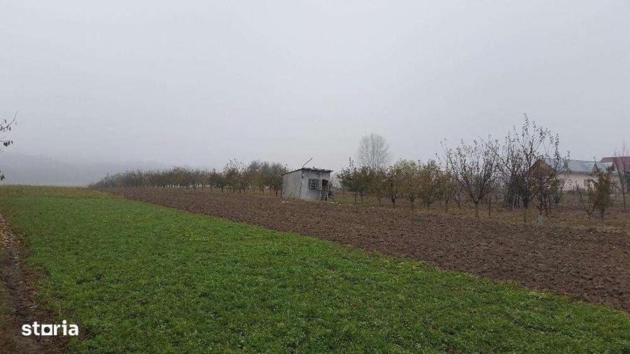 Casă cu 4 camere în Lipoveni