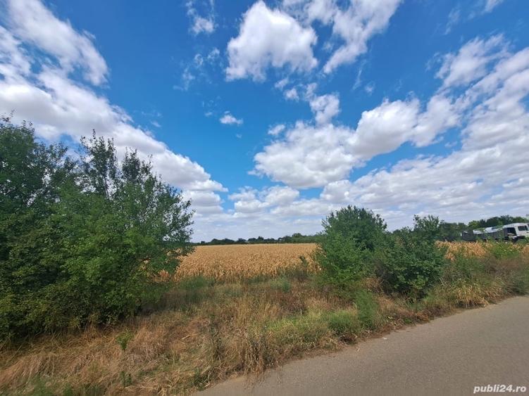 Teren de 5000 mp, în Cojești