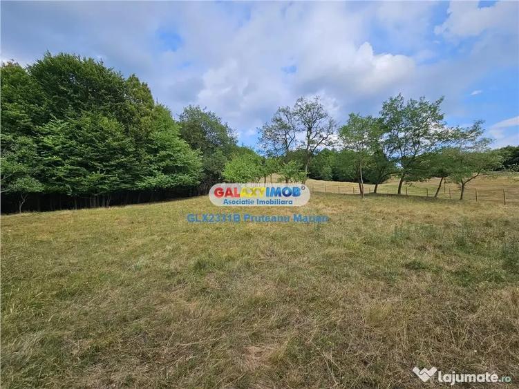 Teren de 2700 mp, în Curtea de Argeș
