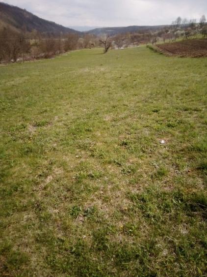 Teren agricol extravilan de 27500 mp, în Geoagiu-Băi