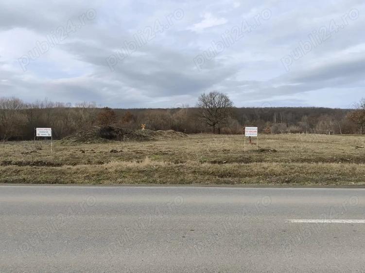 Teren de 750 mp, în Central