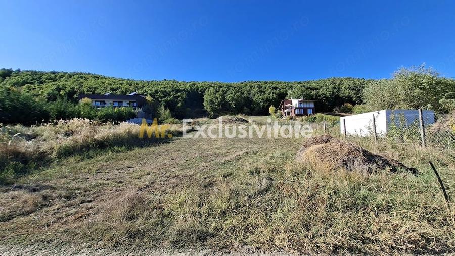 Teren de 2090 mp, în Golești (Ștefănești)