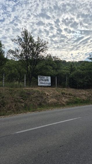 Spațiu comercial, în Nicula
