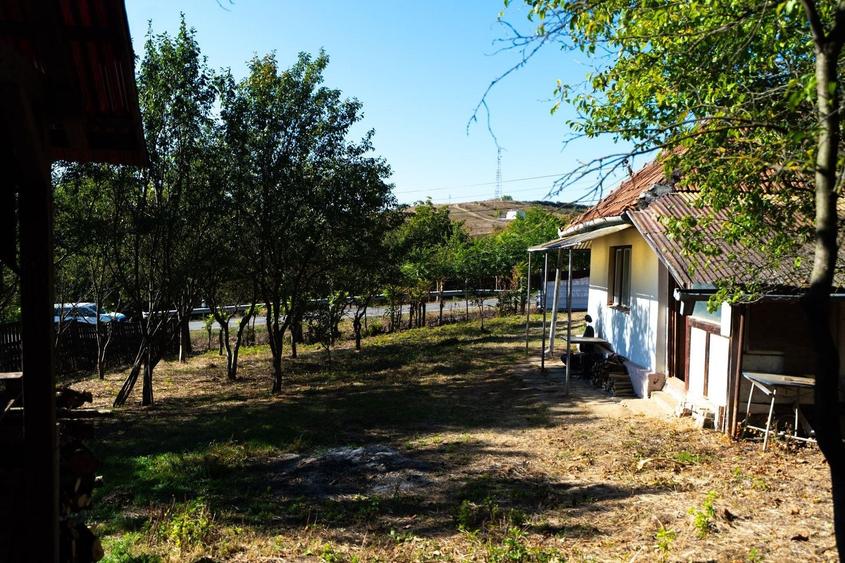 Teren Construcții intravilan de 11400 mp, în Corpadea