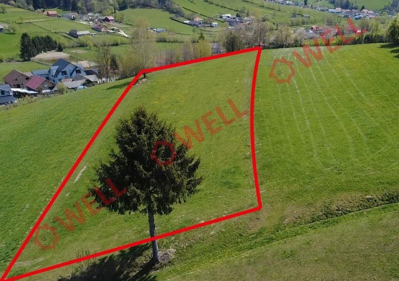 Teren extravilan de 8157 mp, în Sita Buzăului