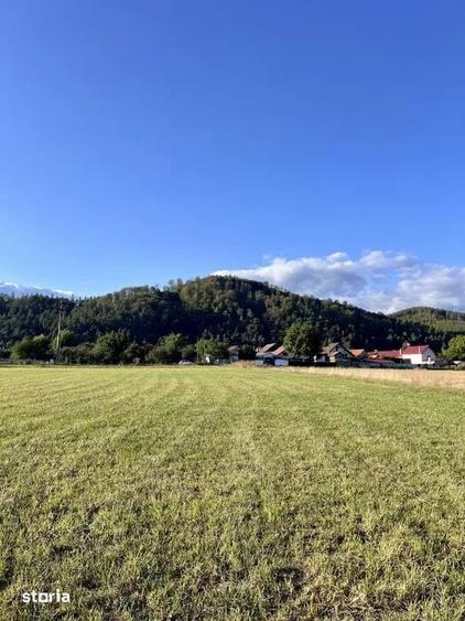 Teren de 650 mp, în Central