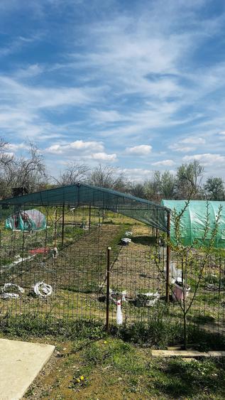 Casă cu 6 camere cu Teren 3576 Mp în Central