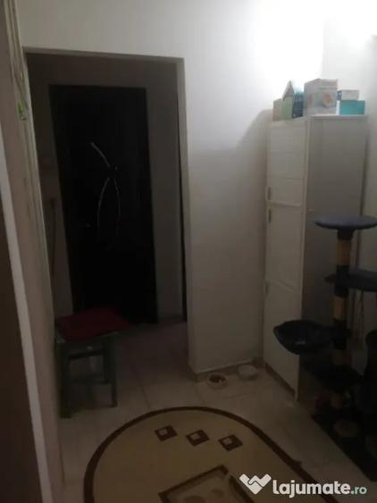 Apartament cu 2 camere decomandat în Rovine