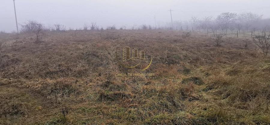 Teren de 2900 mp, în Baciu