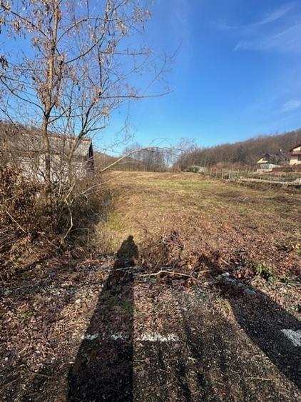 Teren intravilan de 3600 mp, în Tăuții-Măgherăuș