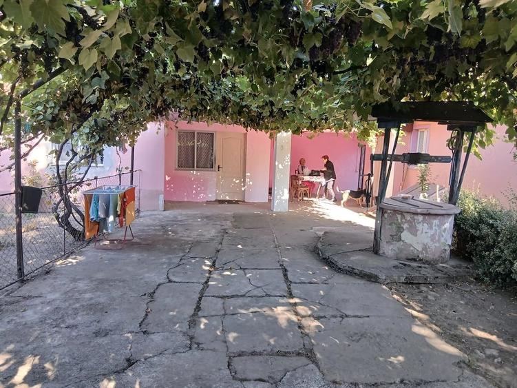 Casă cu Teren 1500 Mp în Sibișel (Beriu)