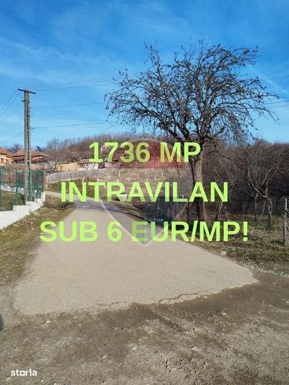Teren 1.736mp Chitesti-AG, Ideal Casa, Deschidere la Asfalt, Utilitati - 7