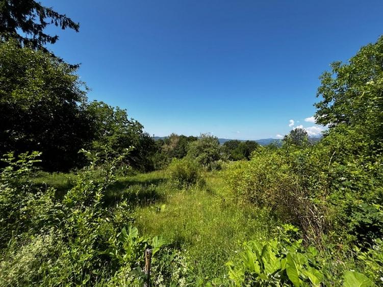 Teren extravilan de 3100 mp, în Dăești