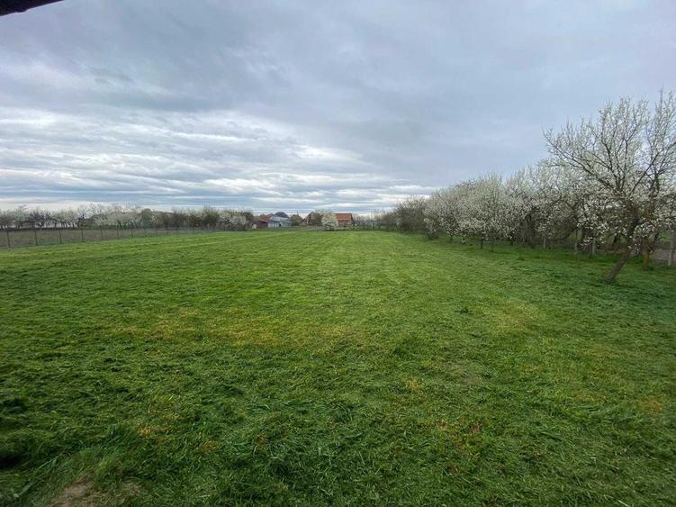 Casă cu 4 camere cu Teren 2880 Mp în Sintea Mare