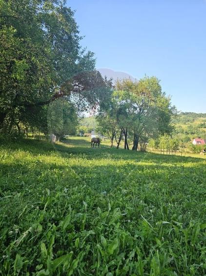 Teren Construcții intravilan de 1247 mp, în Breb