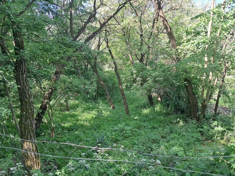 Teren de 917 mp, în Cornu